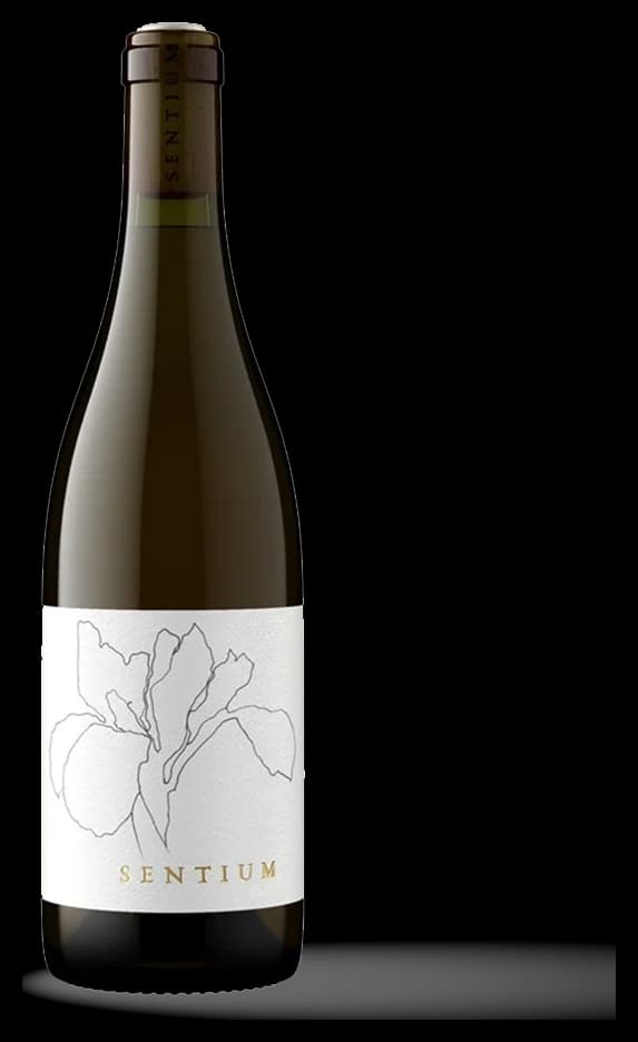 2023 Continuum Sentium Sauvignon Blanc bottle reference